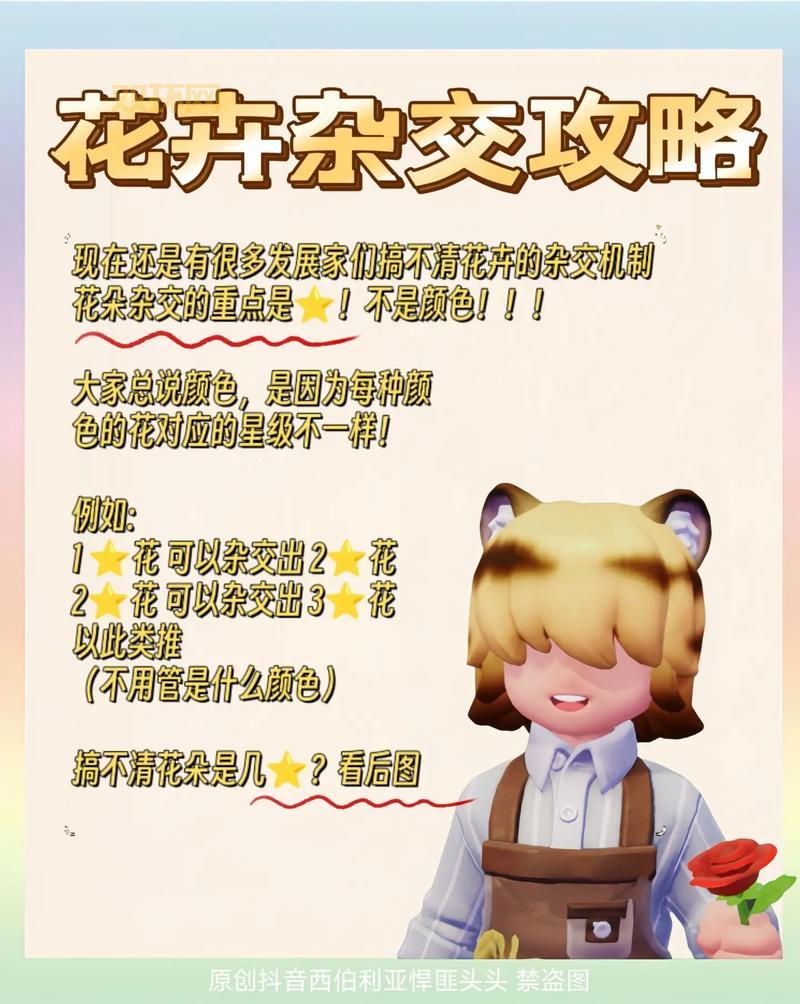 想玩转玫瑰小镇？这份保姆级攻略快收藏！