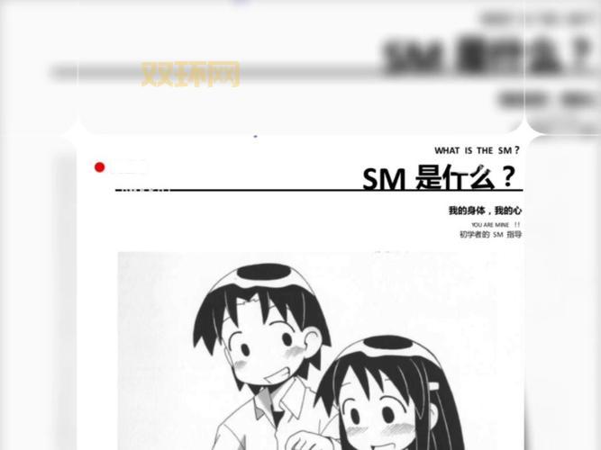 sm宏是什么意思？看完这篇你就明白了