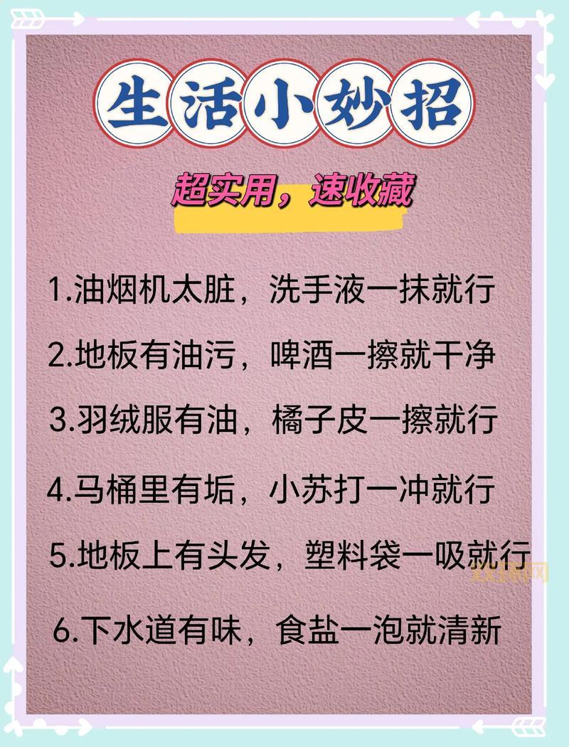 小tips是什么意思？这些小技巧让生活更便捷！