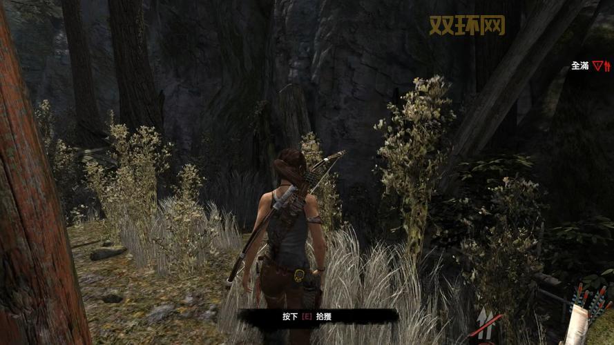 古墓丽影xxx怎么玩？新手快速上手全攻略！