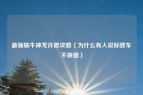 最强蜗牛神龙许愿攻略（为什么有人说标致车不保值）