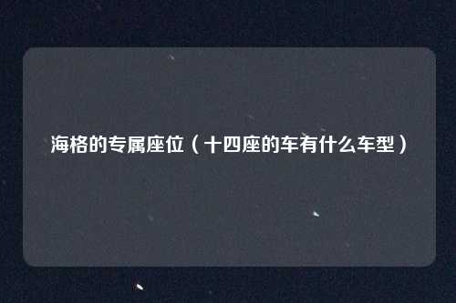 海格的专属座位（十四座的车有什么车型）