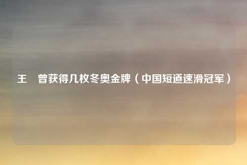 王濛曾获得几枚冬奥金牌（中国短道速滑冠军）