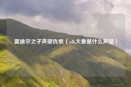 霍迪尔之子声望仇恨（wlk大象是什么声望）