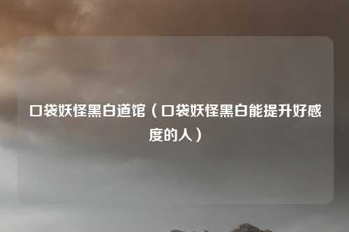 口袋妖怪黑白道馆（口袋妖怪黑白能提升好感度的人）