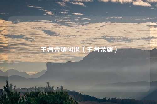 王者荣耀闪退（王者荣耀）