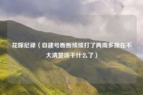 花嫁尼禄（自建号断断续续打了两周多现在不大清楚该干什么了）