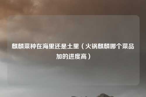 麒麟菜种在海里还是土里（火锅麒麟哪个菜品加的进度高）