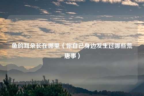 鱼的耳朵长在哪里（你自己身边发生过哪些荒唐事）