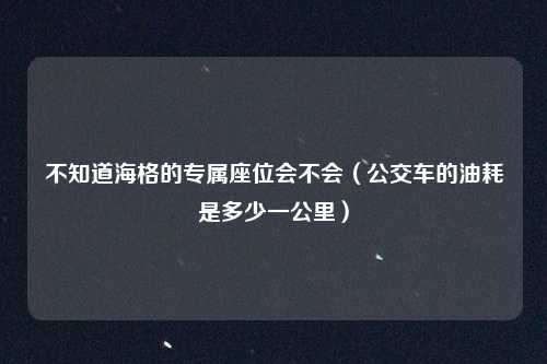 不知道海格的专属座位会不会（公交车的油耗是多少一公里）