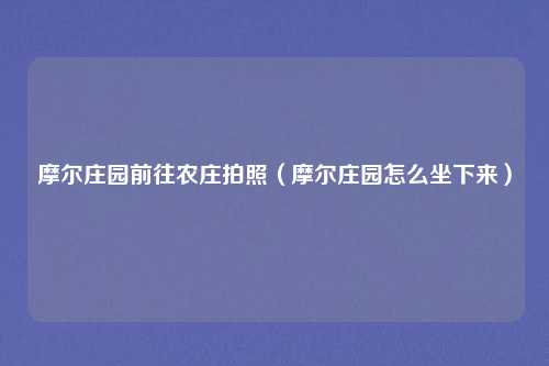 摩尔庄园前往农庄拍照（摩尔庄园怎么坐下来）