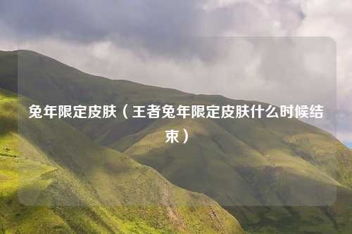 兔年限定皮肤（王者兔年限定皮肤什么时候结束）