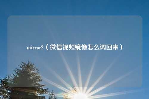mirror2（微信视频镜像怎么调回来）