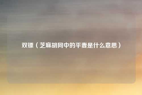 双镖（芝麻胡同中的平妻是什么意思）