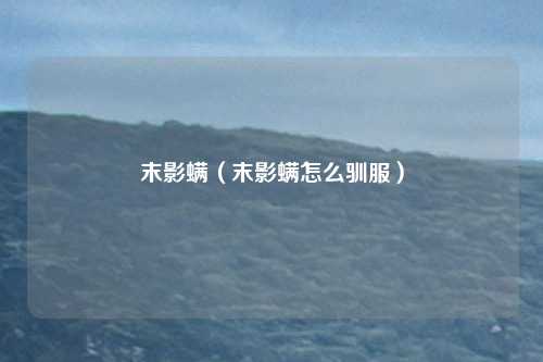 末影螨（末影螨怎么驯服）