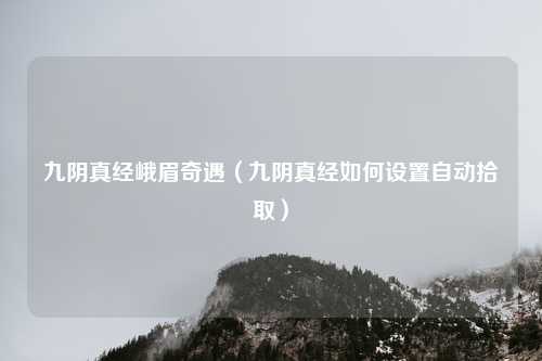 九阴真经峨眉奇遇（九阴真经如何设置自动拾取）