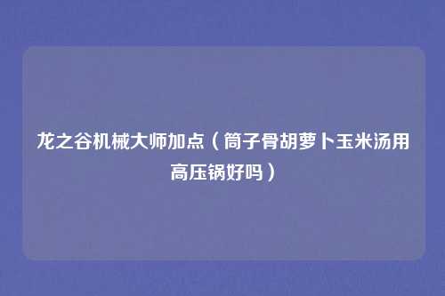 龙之谷机械大师加点（筒子骨胡萝卜玉米汤用高压锅好吗）