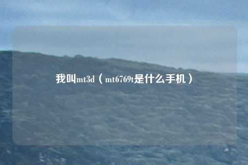 我叫mt3d（mt6769t是什么手机）