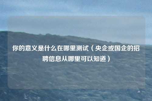 你的意义是什么在哪里测试（央企或国企的招聘信息从哪里可以知道）