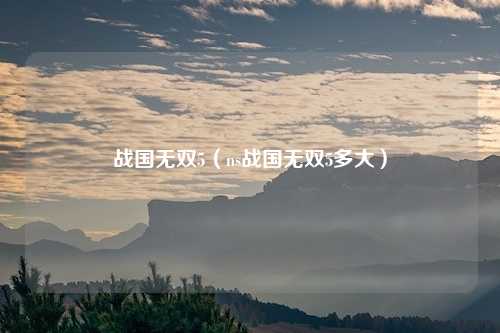 战国无双5（ns战国无双5多大）