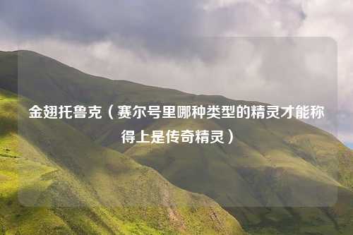 金翅托鲁克（赛尔号里哪种类型的精灵才能称得上是传奇精灵）