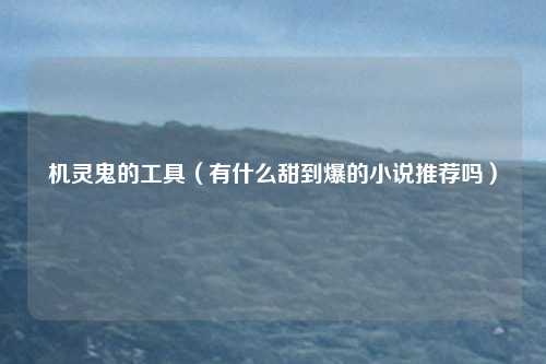 机灵鬼的工具（有什么甜到爆的小说推荐吗）