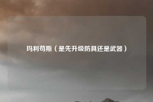 玛利苟斯（是先升级防具还是武器）