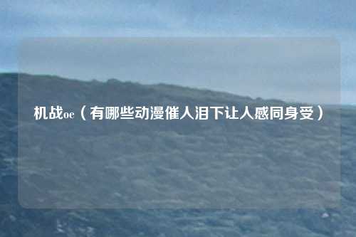 机战oe（有哪些动漫催人泪下让人感同身受）