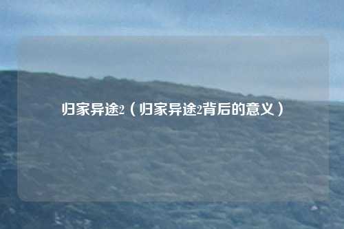 归家异途2（归家异途2背后的意义）