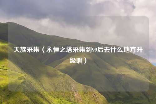 天族采集（永恒之塔采集到99后去什么地方升级啊）