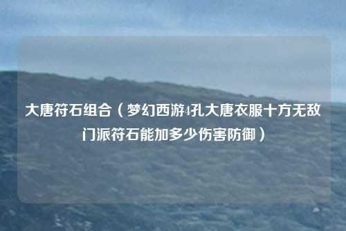 大唐符石组合（梦幻西游4孔大唐衣服十方无敌门派符石能加多少伤害防御）