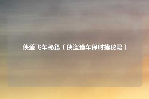 侠道飞车秘籍（侠盗猎车保时捷秘籍）