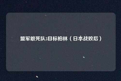 盟军敢死队3目标柏林（日本战败后）