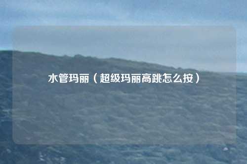 水管玛丽（超级玛丽高跳怎么按）