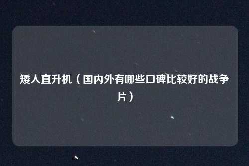 矮人直升机（国内外有哪些口碑比较好的战争片）