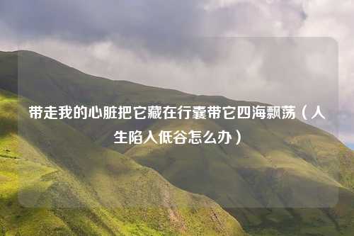 带走我的心脏把它藏在行囊带它四海飘荡（人生陷入低谷怎么办）