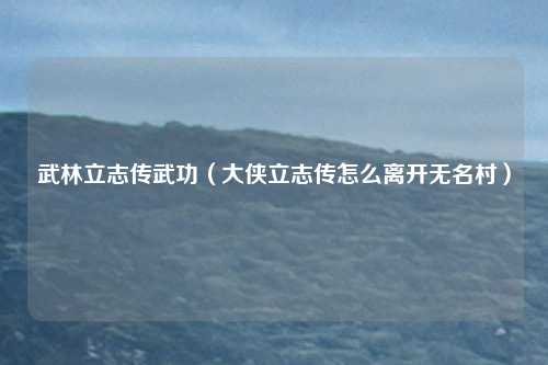 武林立志传武功（大侠立志传怎么离开无名村）