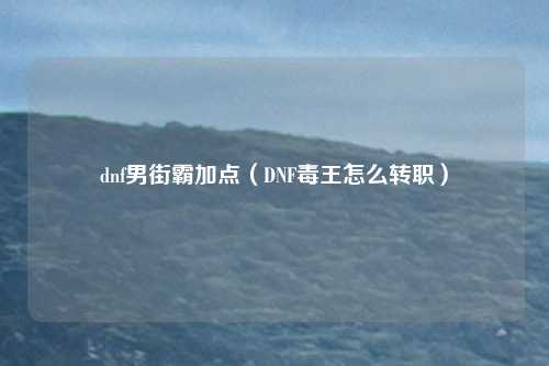 dnf男街霸加点（DNF毒王怎么转职）