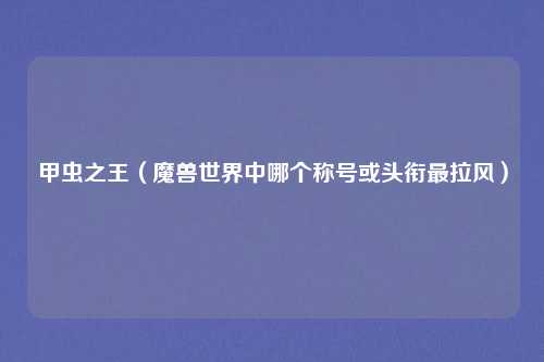 甲虫之王（魔兽世界中哪个称号或头衔最拉风）