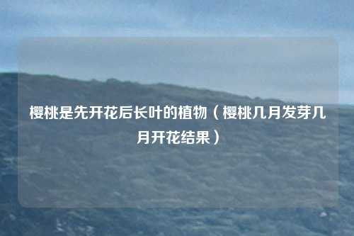 樱桃是先开花后长叶的植物（樱桃几月发芽几月开花结果）