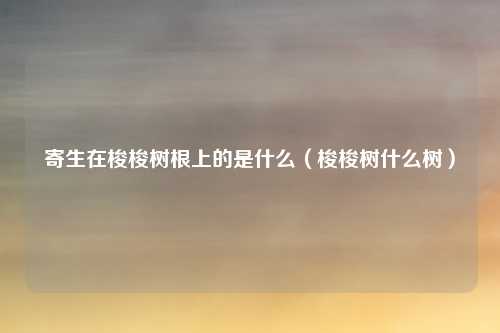 寄生在梭梭树根上的是什么（梭梭树什么树）