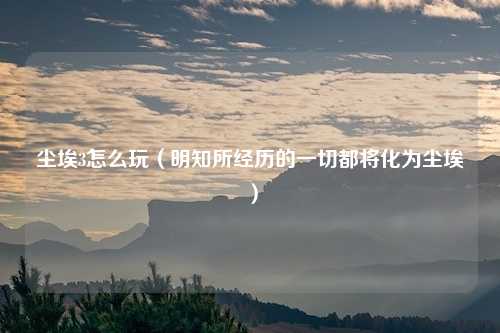 尘埃3怎么玩（明知所经历的一切都将化为尘埃）