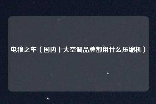 电狼之车（国内十大空调品牌都用什么压缩机）