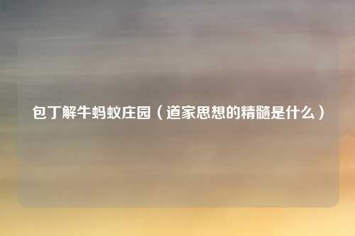 包丁解牛蚂蚁庄园（道家思想的精髓是什么）