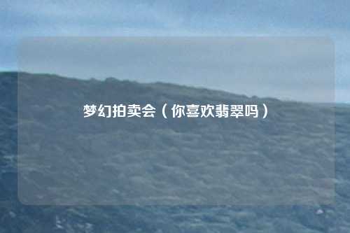 梦幻拍卖会（你喜欢翡翠吗）