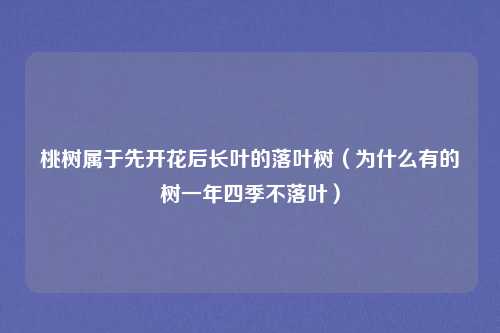桃树属于先开花后长叶的落叶树（为什么有的树一年四季不落叶）