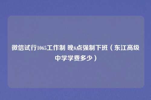微信试行1065工作制 晚6点强制下班（东江高级中学学费多少）