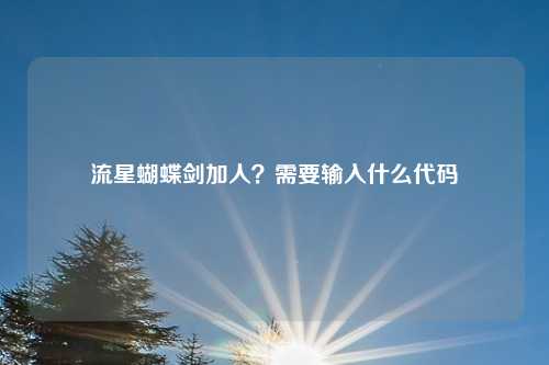流星蝴蝶剑加人？需要输入什么代码