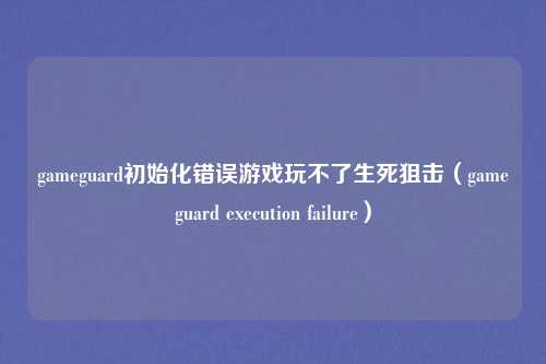 gameguard初始化错误游戏玩不了生死狙击（gameguard execution failure）