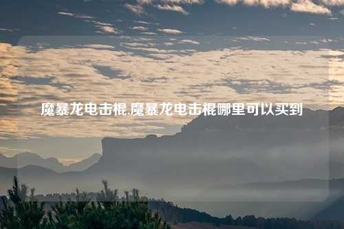 魔暴龙电击棍,魔暴龙电击棍哪里可以买到